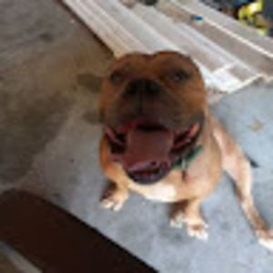 Meet your Posher, Billy